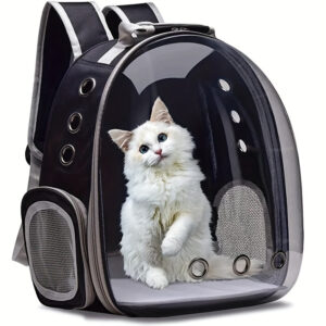 1pc Transparent Breathable Cat Backpack, Portable Panoramic Pet Carrier with Ventilation Holes, Lightweight PVC Cat Travel Bag for Outdoor Use, Ventilated Pet Carrier for Cat
