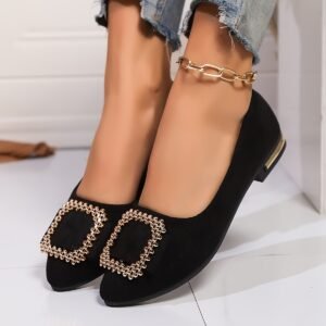 Your Elegance Starts with Your Step: Irresistible Pointed Flat Shoes!