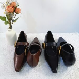 נעל אלגנטית מחודדת: הצעדים שלך ליוקרה!