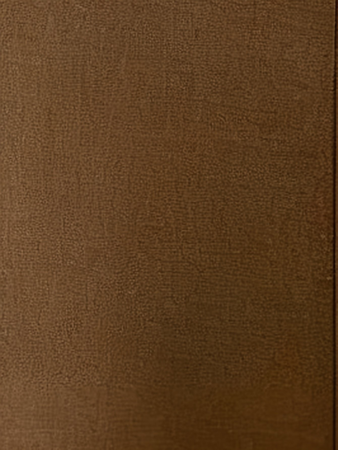 שורטס מותן גבוה יוקרתי: אלגנטיות מודרנית שתאפשר לך לזרוח מהמשרד ועד לאירועים – תמונה 5