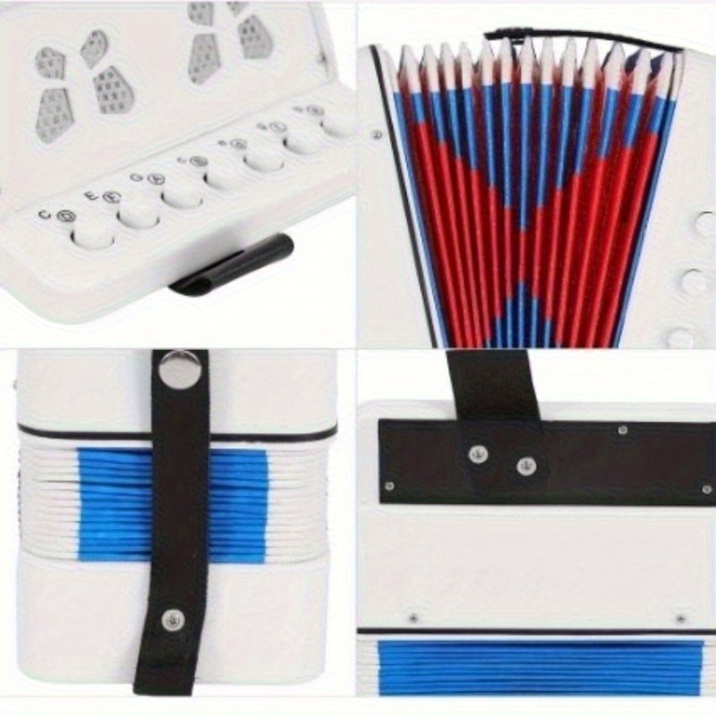 אקורדיון למתחילים: השער הקסום שלך לעולם המוזיקה! – תמונה 9