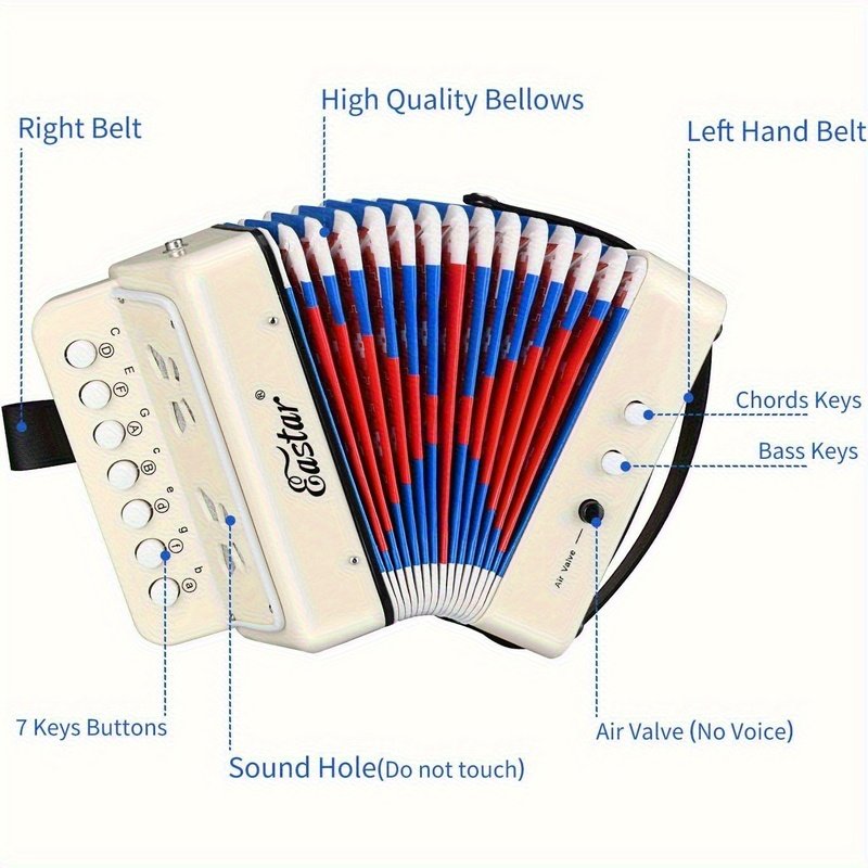 אקורדיון למתחילים: השער הקסום שלך לעולם המוזיקה! – תמונה 5