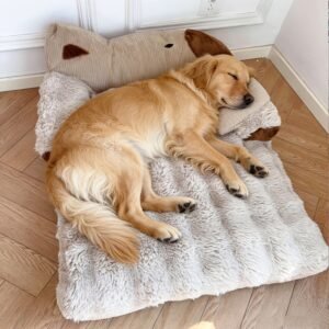 גן עדן חלומי לחיית המחמד שלך: נוחות ללא תחרות לכל עונות השנה!