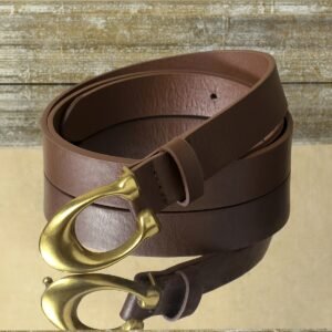 Brown Oval Waist Belt: Modern Elegance and a Renewed Look!