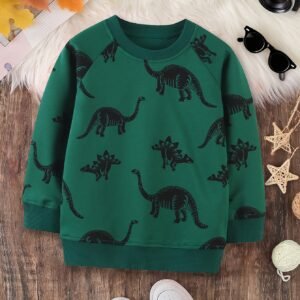 أناقة مريحة لمغامرات لا تتوقف: سويتشيرت الديناصور للأولاد!