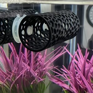 מקלט בטיחות ויופי לדגים היקרים שלך