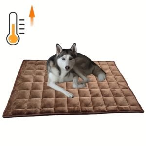 الدفء المطلق والراحة الفاخرة لرفيقك الأليف هذا الشتاء!