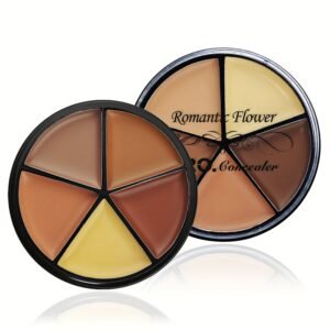 Flawless Beauty Palette: Waterproof 5-Shade Foundation & Concealer