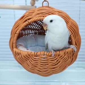 מפלט החום הטבעי: קן ראטן ארוג ביד לחיית המחמד שלך