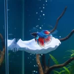 מפלט הביטא השקט: נדנדת צדפה לנוחות מפוארת ובטיחות אופטימלית!