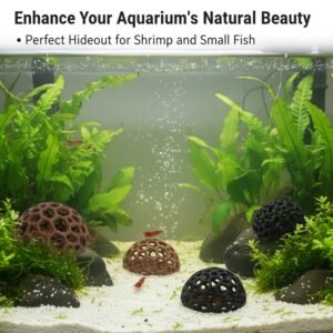 נווה בטחון ומשחק: כיפת הנוי המושלמת לאקווריום שלך