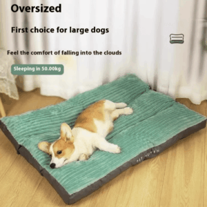 מיטת כלבים יוקרתית: חום ללא גבולות, נוחות לכל הגדלים!