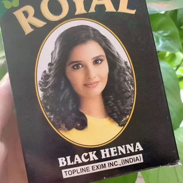 India HENNA Plant Dye Black Brown Red Covering White Hair Nourishing Gloss dye Tool - Image 3
