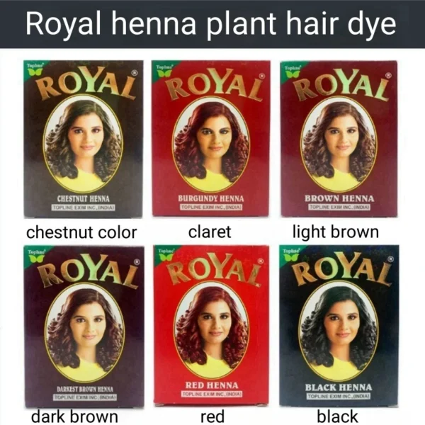 Organic HENNA Plant Hair Dye Black Brown Covering White Hair Nourishing Natural Gloss Hair Care 6 x 10g/box - Image 4