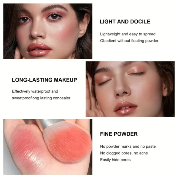 12-Color Iron Box Blusher Plate Multi-Color Cream Blush Plate Concealer Plate Contour and Highlighter Palette Makeup Blush Face - Image 3