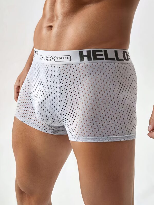 Pack of 10 Men's mesh flat corner underwear, hello letter waistband, solid color mesh hollow design, full sense of style, very breathable and comfortable, suitable for summer wear - Image 5