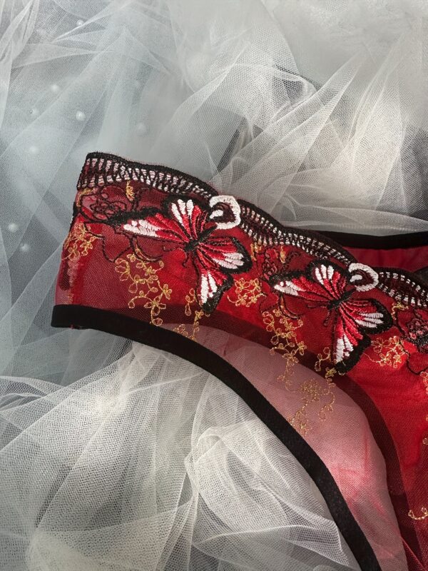 Butterfly Embroidery Lace Asymmetrical Panties for Women, Polyester and Elastane Blend, Sexy Low-Rise Briefs, Light Support Knit Fabric Underwear with Scallop Detail - Image 9