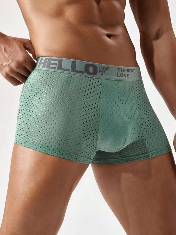 Pack of 10 Men's mesh flat corner underwear, hello letter waistband, solid color mesh hollow design, full sense of style, very breathable and comfortable, suitable for summer wear - Image 2
