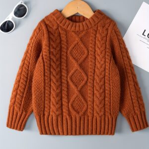 دفء وأناقة لا مثيل لها: سويتر الأولاد الكاجوال لكل المواسم!