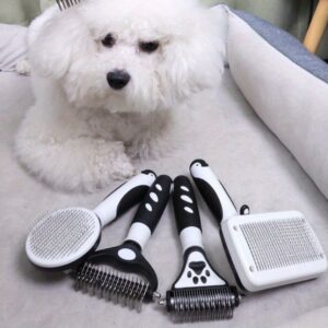 مجموعة العناية المتكاملة: تألق وراحة لحيوانك الأليف!