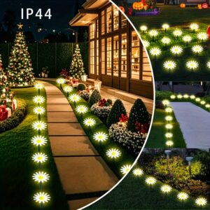 إشراقة الأقحوان: مصابيح شمسية تزين عالمك الخارجي!