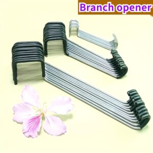 مُوَجِّه الفروع الذكي: لنمو مثالي وتشكيل احترافي!