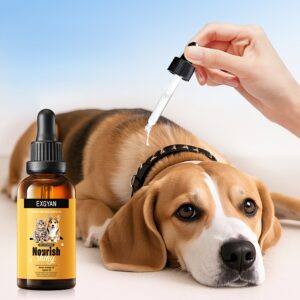 زيت العناية الفاخر لشعر حيوانك الأليف: لمعان وحماية لا مثيل لهما