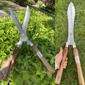 مقص الحدائق الاحترافي فائق الطول: تقليم دقيق بقوة لا مثيل لها