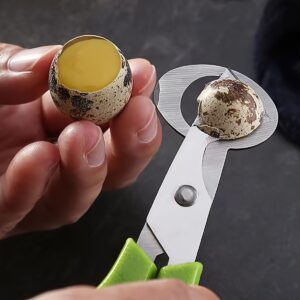 كسارة البيض اليدوية الفائقة: سهولة، دقة، ومتانة!