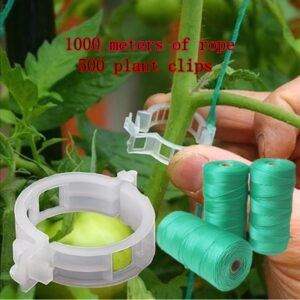 مجموعة الحديقة الاحترافية: نمو قوي ودعم ثابت!