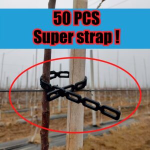 أحزمة تثبيت الأشجار والنباتات الاحترافية: دعم لا يتزعزع ونمو آمن!