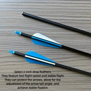 ارفع مستوى رمياتك: أعمدة سهام الكربون الفاخرة (12 قطعة) لدقة لا تضاهى!