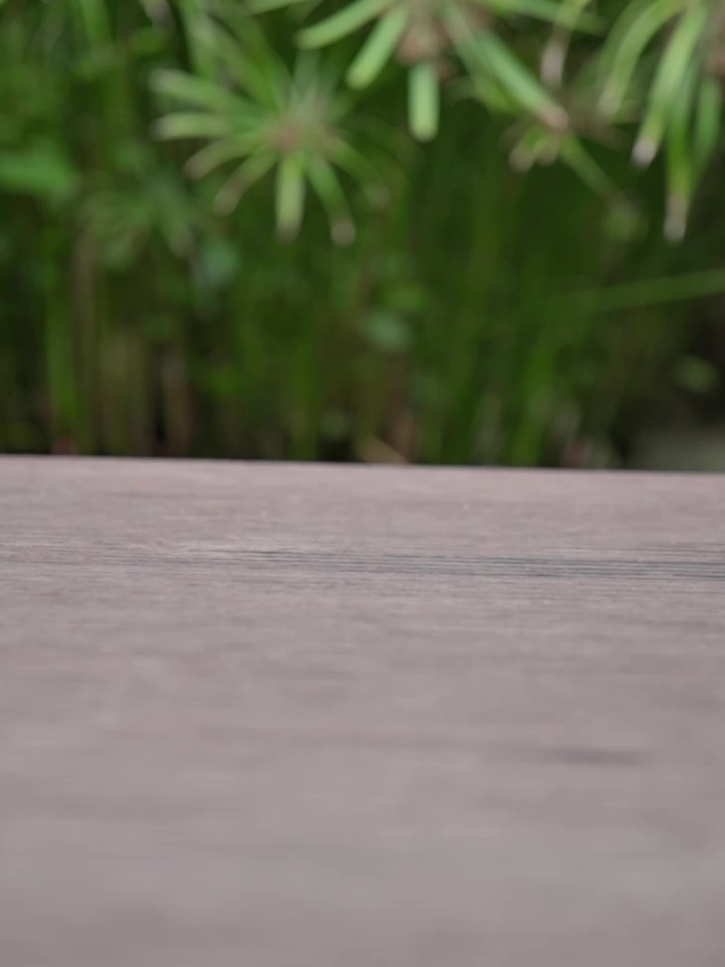 צאו לדרך בנוחות ובסטייל: נעלי הספורט המושלמות לילדים לכל הרפתקה! – תמונה 11